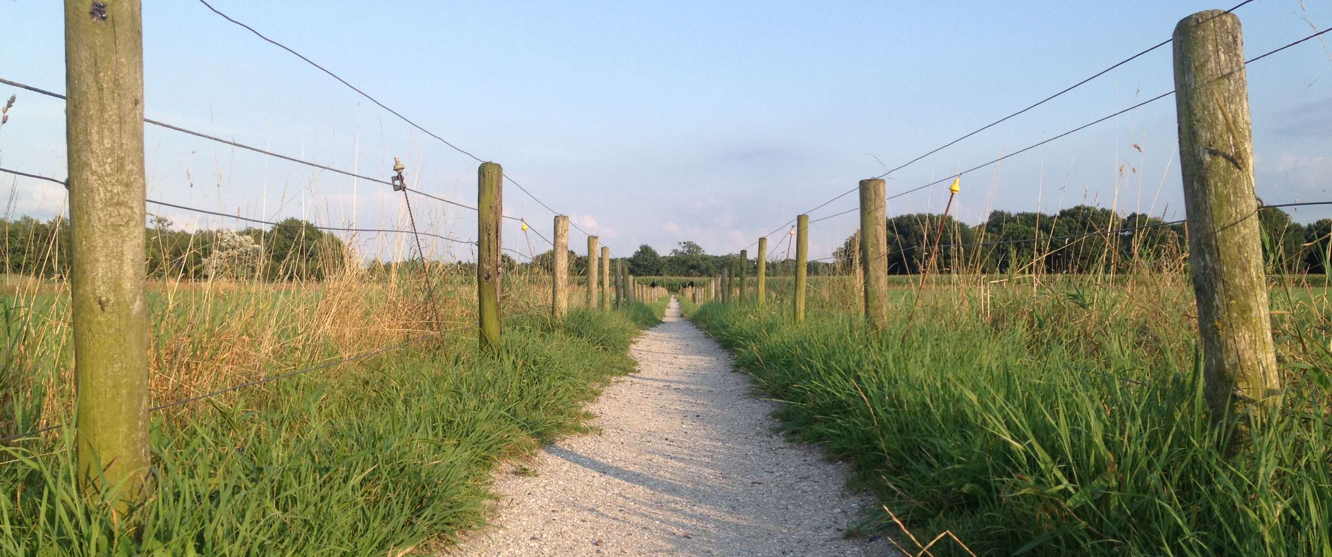 Chemin non pavé à travers des prairies avec clôtures en bois sous un ciel bleu