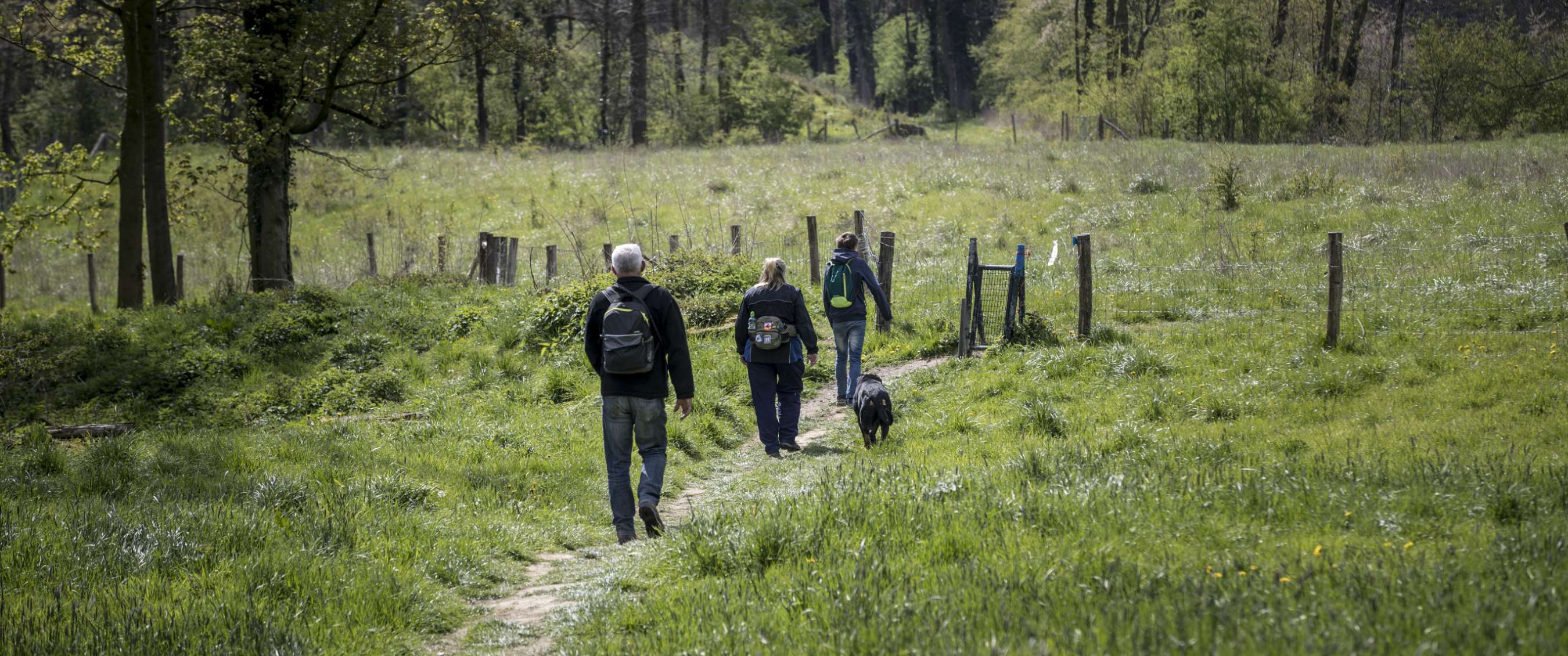Trois randonneurs avec sacs à dos sur un sentier étroit à travers une prairie verte