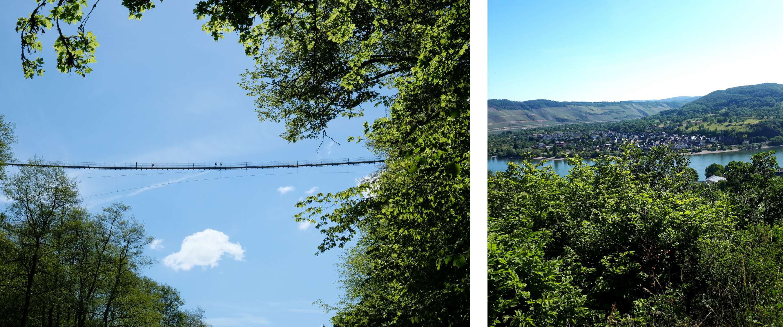 Deux images : passerelle suspendue étroite entre les arbres sous un ciel bleu ; vue sur une rivière et un village dans une vallée verte