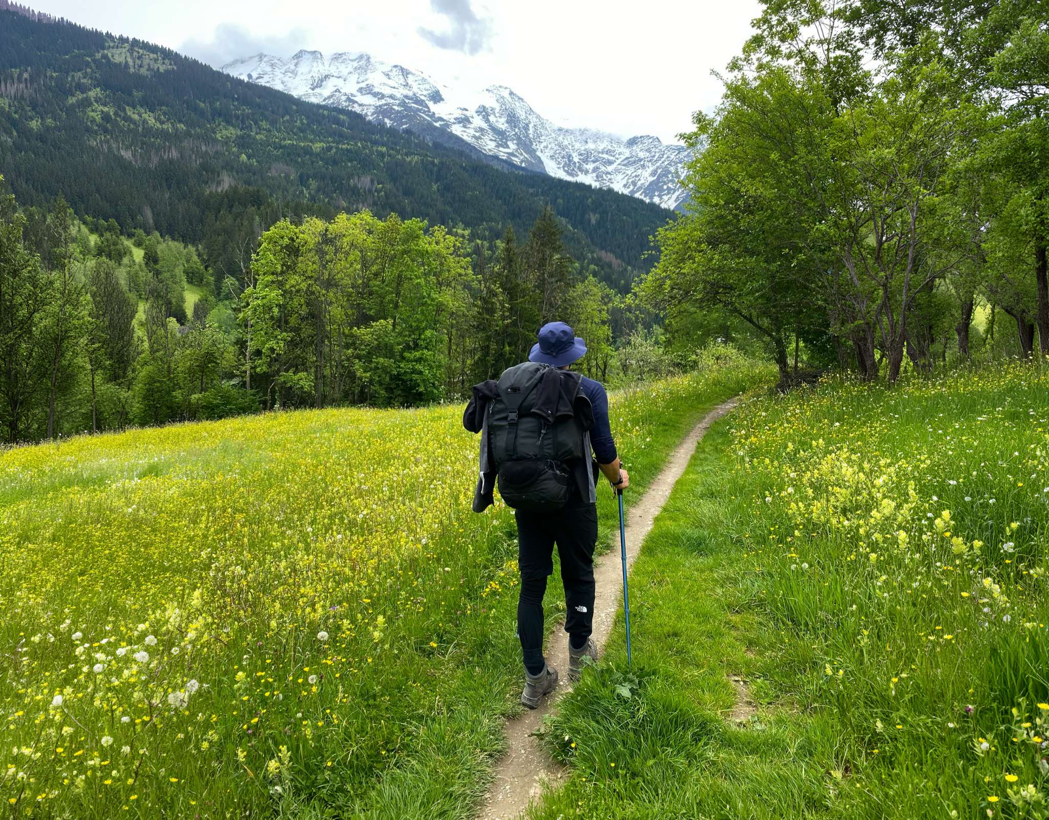 Wandelaar met rugzak loopt door groene alpenweide richting besneeuwde bergen.