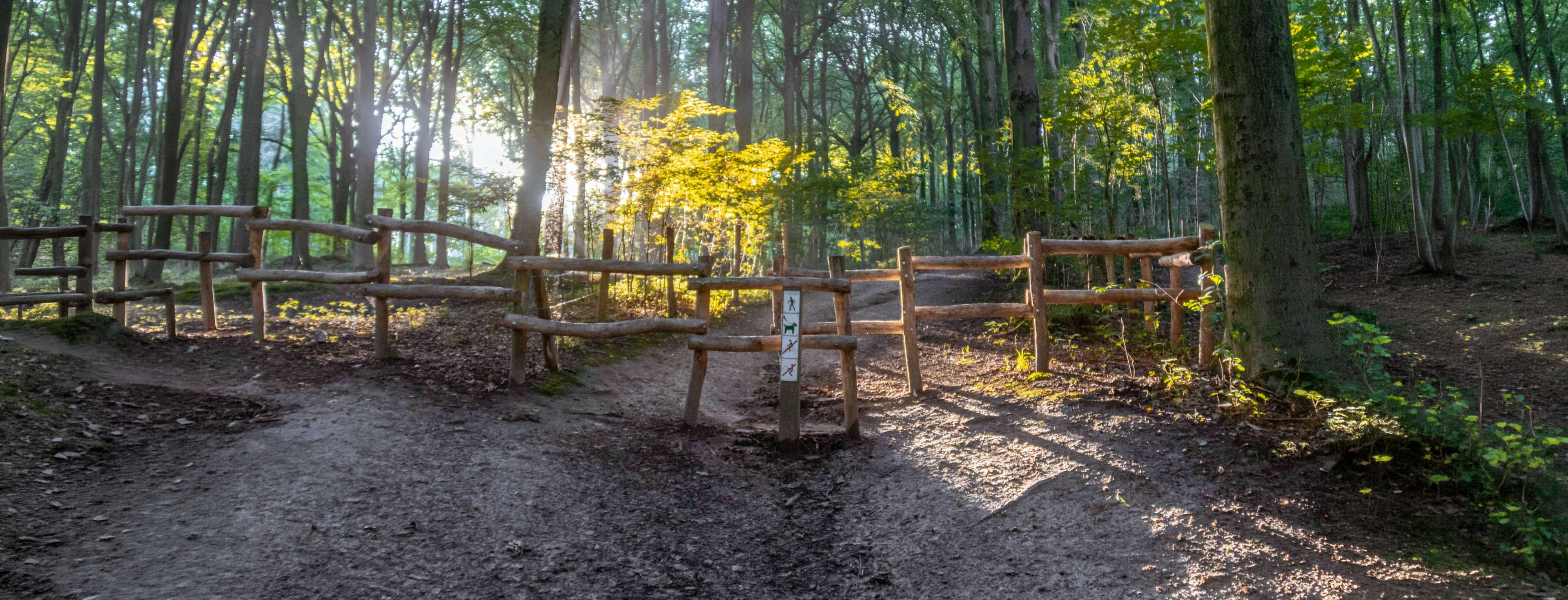 De 7 mooiste herfstwandelingen in België