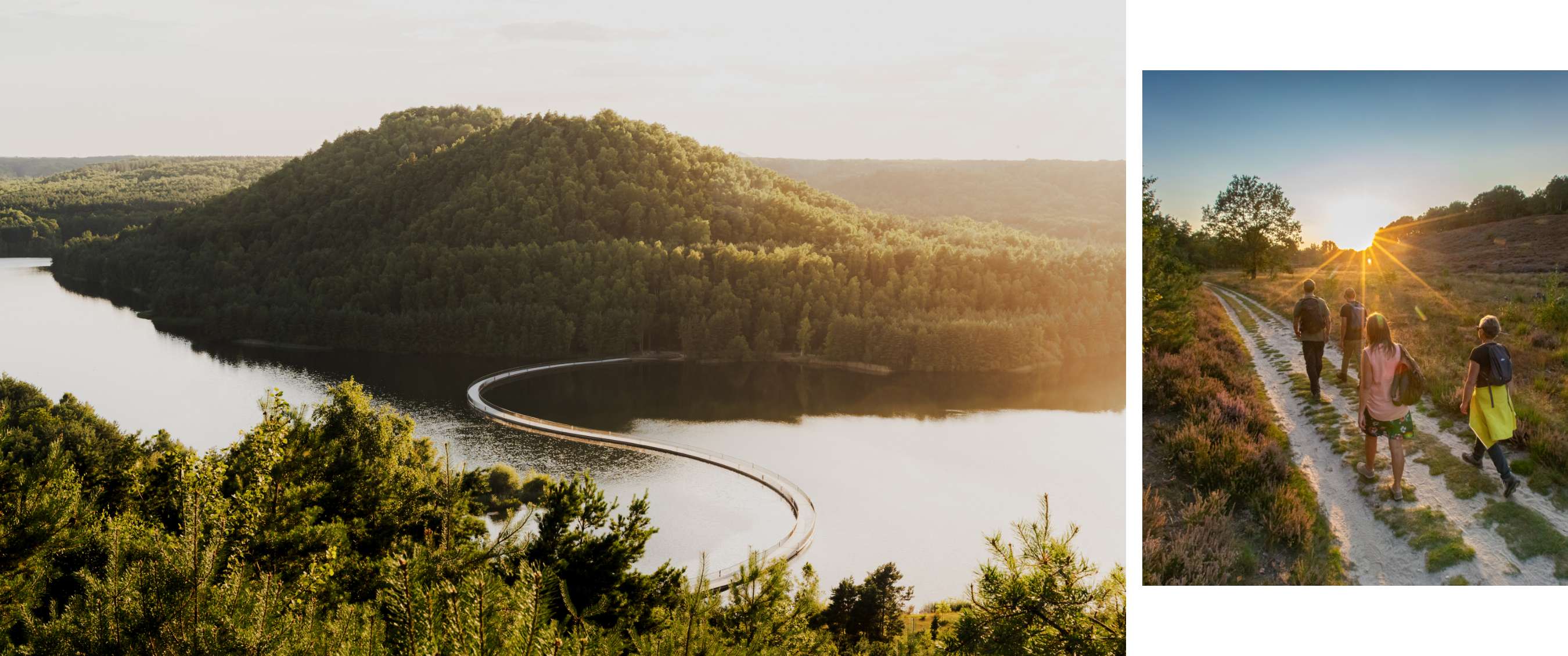 Pont incurvé sur un lac avec une colline boisée à l’arrière-plan.