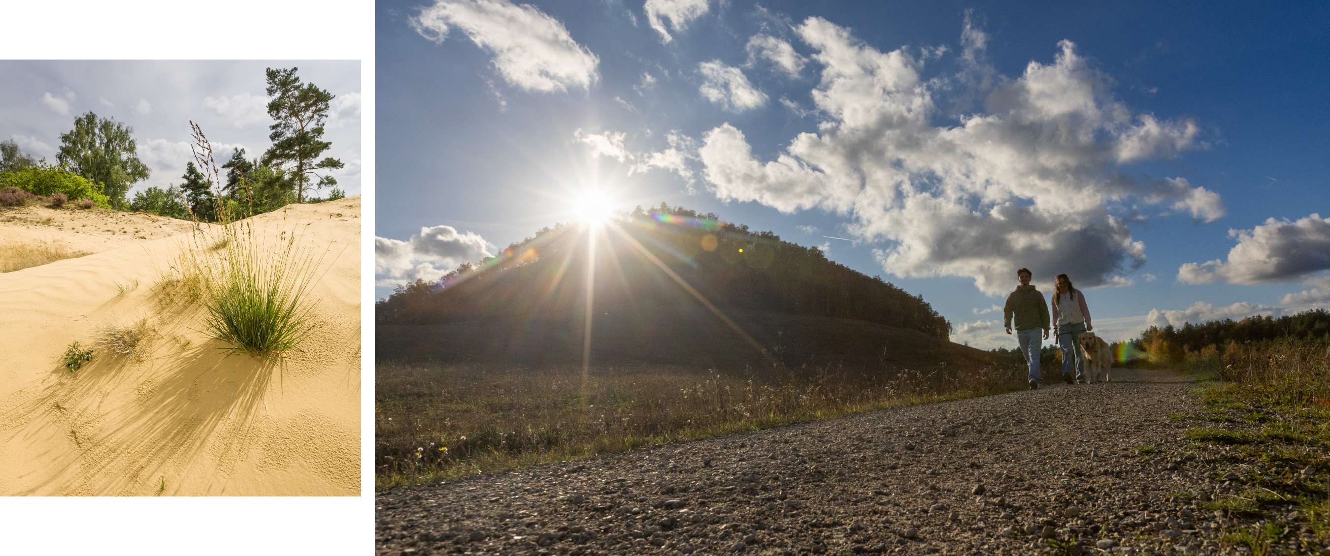 Deux personnes et un chien marchent sur un large chemin sous un ciel nuageux.