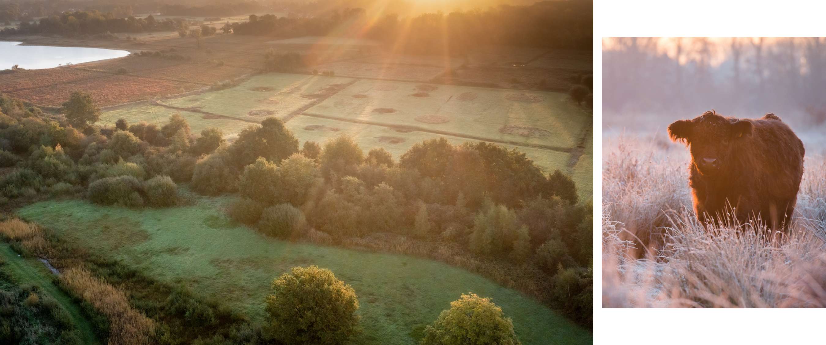 Twee beelden: mist trekt door een rotsachtig berglandschap; koe staat in een weide met bomen.