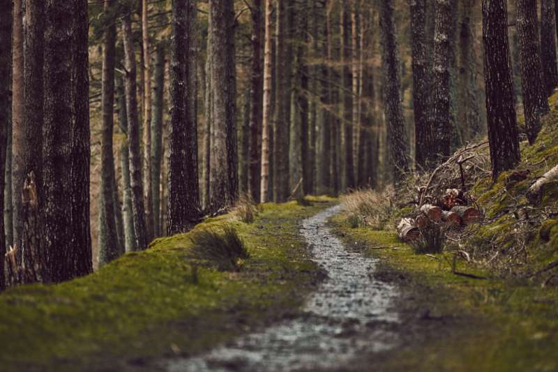 Onbekende wandelroutes in Luxemburg