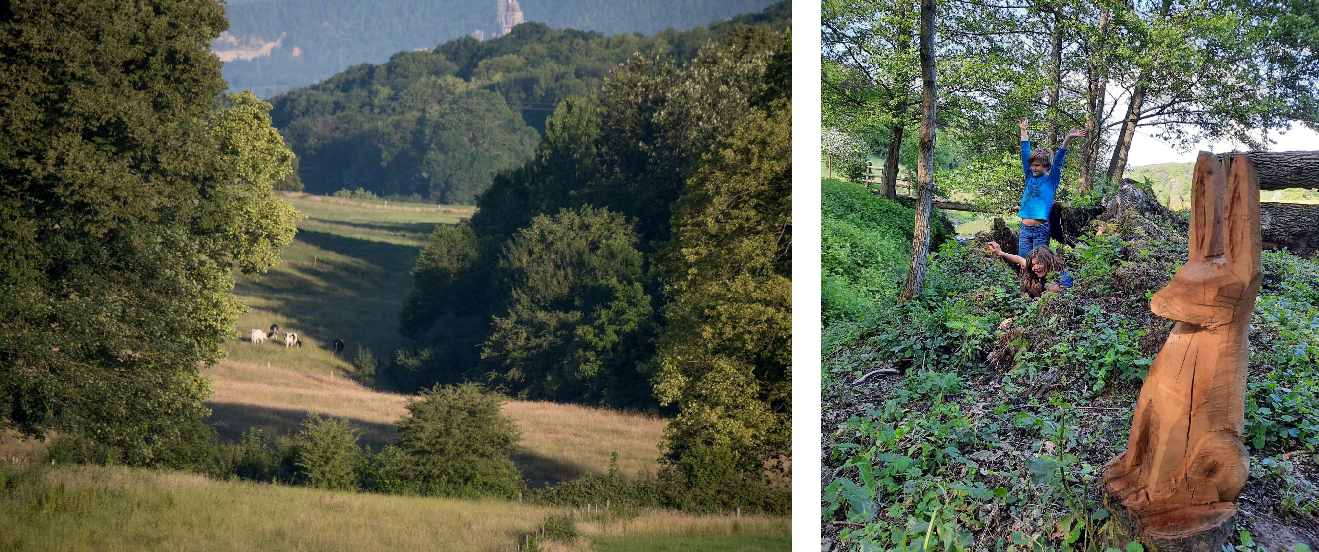 Wandelroute van A.S.Adventure en Natuurpunt in Altenbroek