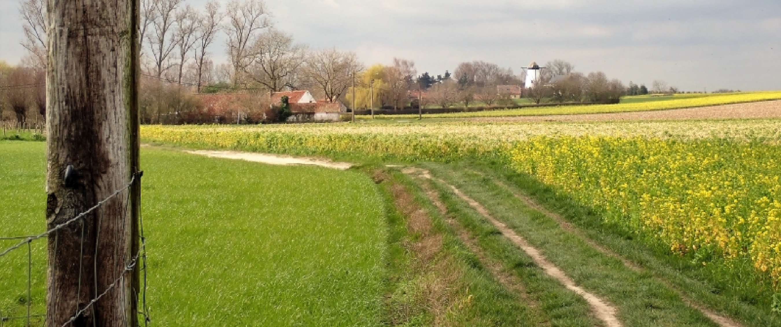 Onverharde veldweg langs groene akkers en gele bloeiende velden met boerderijen in de verte.