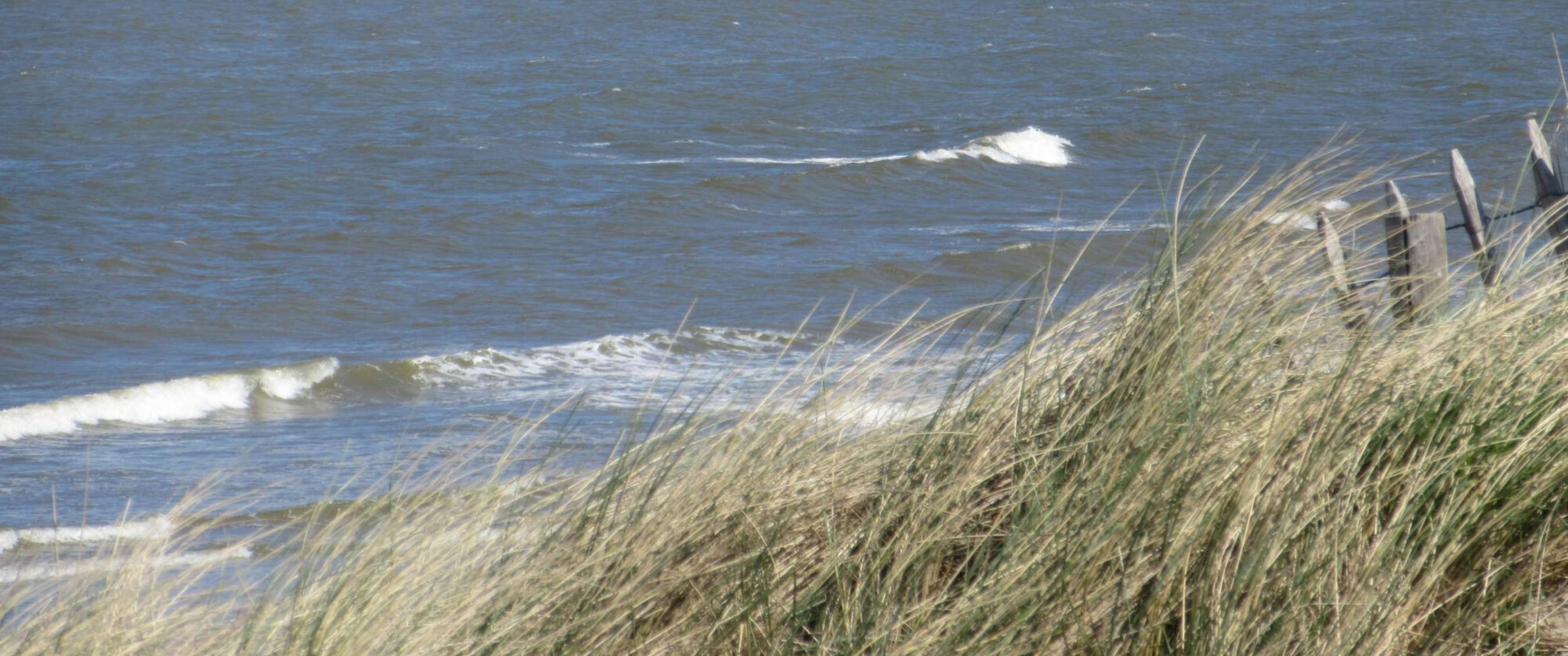 mer avec petites vagues près d’une dune couverte d’herbe et clôture en bois.