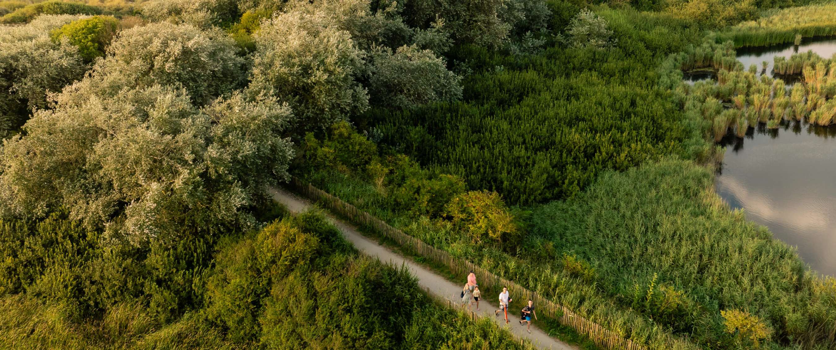 Vue aérienne d’un sentier dans une zone naturelle avec marcheurs près des roseaux et de l’eau.