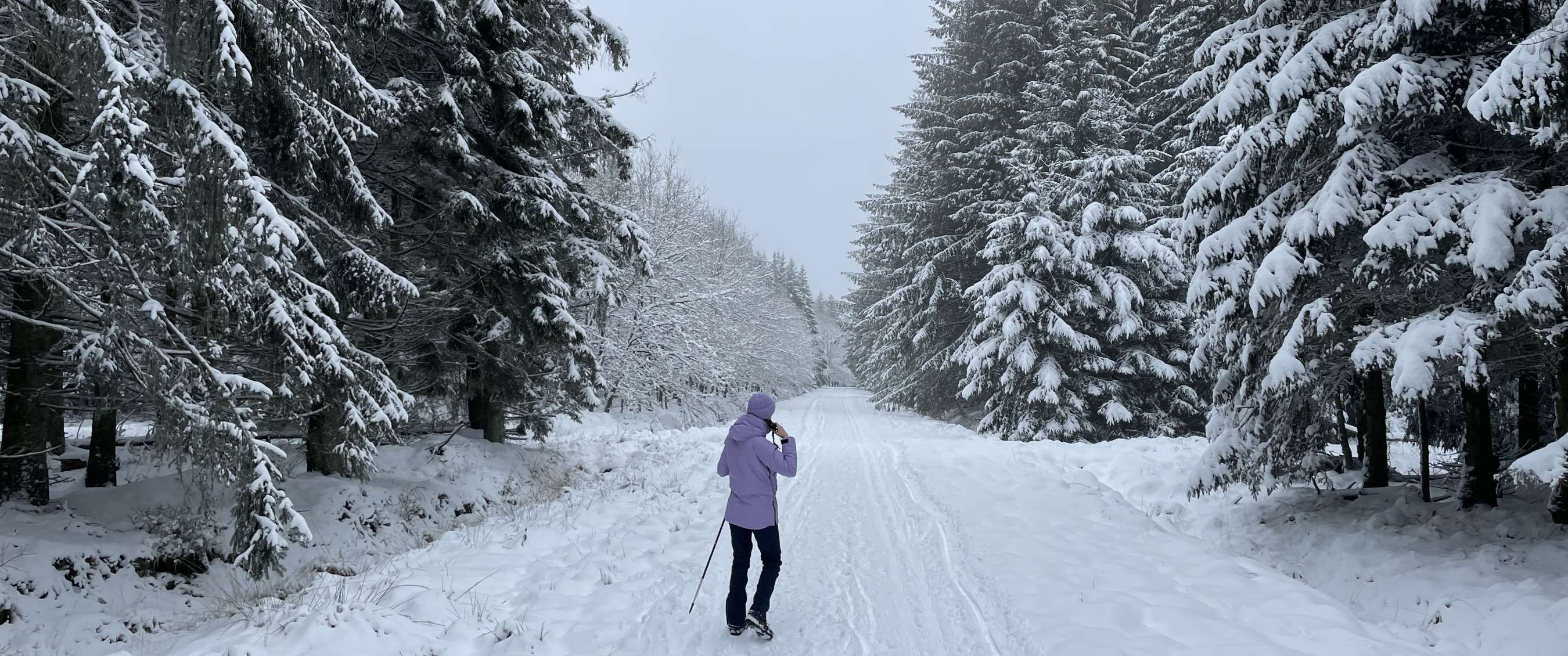 Wandelaar in winterkleding op sneeuwweg tussen sparren