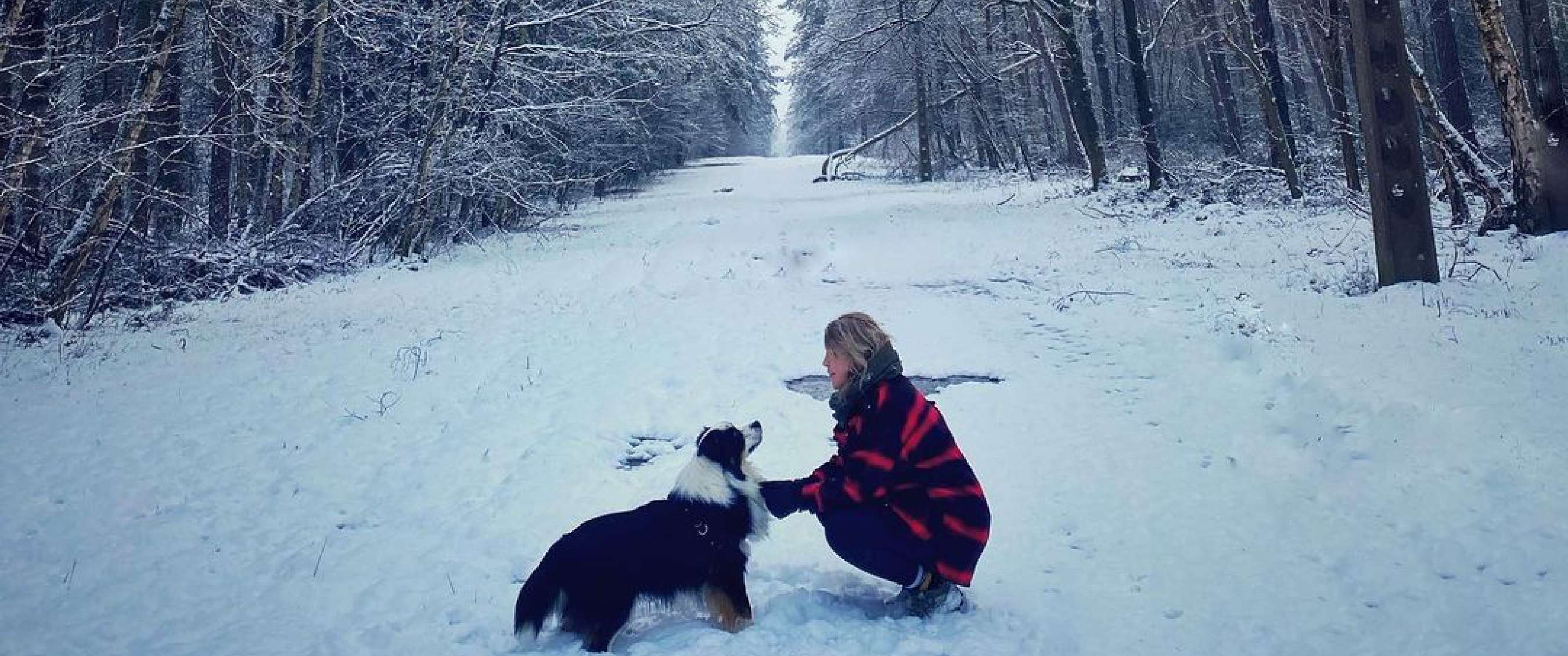 Interactie tussen persoon en hond op sneeuwbedekte bosweg