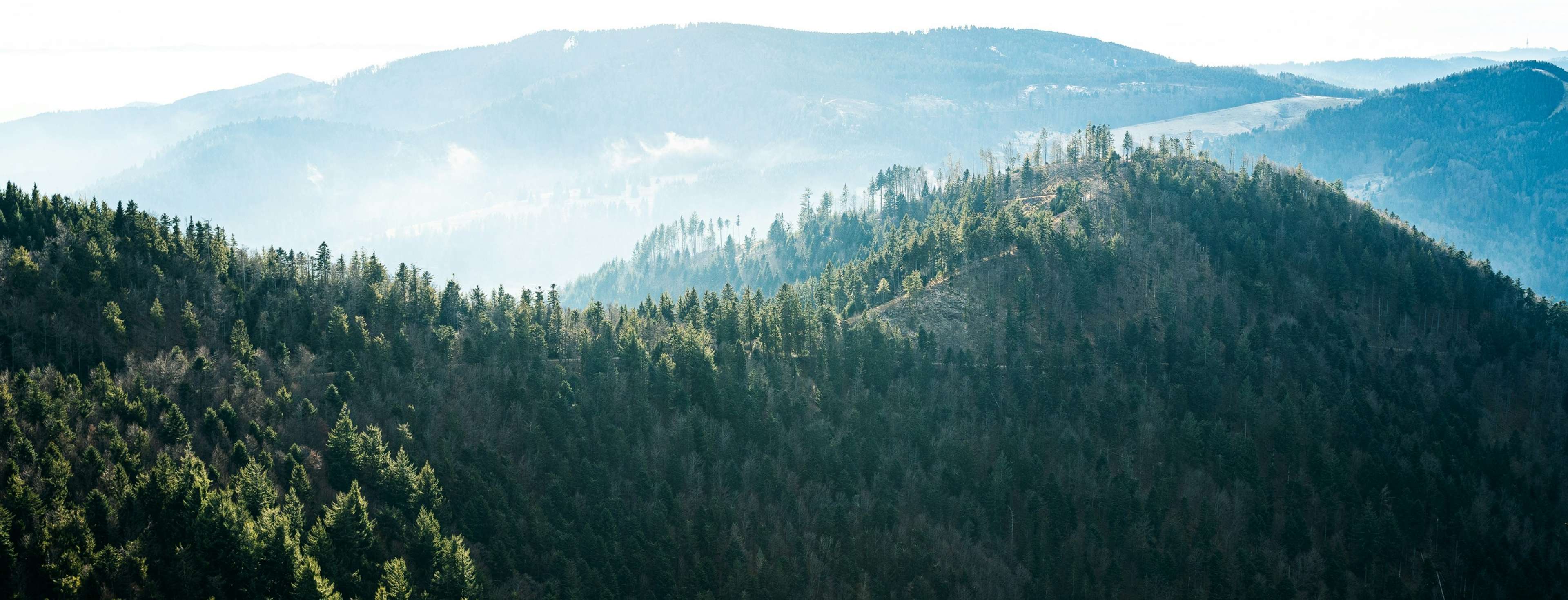 3 randonnées en Allemagne : de l’Eifel à la Forêt-Noire