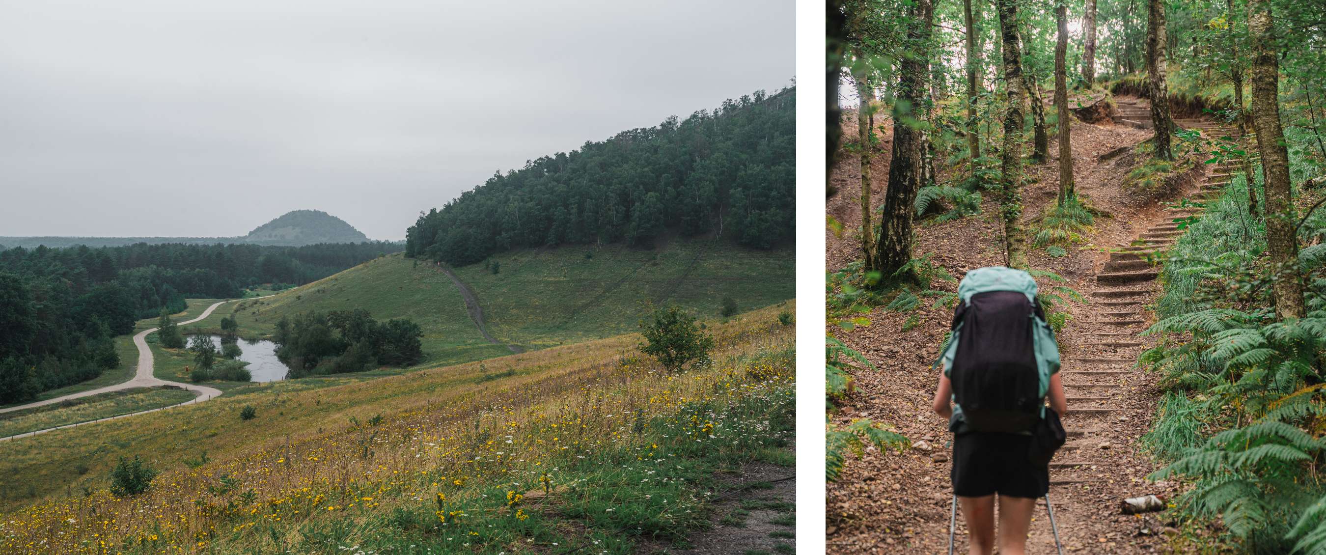 Twee beelden: glooiend landschap met weg en vijver; wandelaar met rugzak op bostrappen.