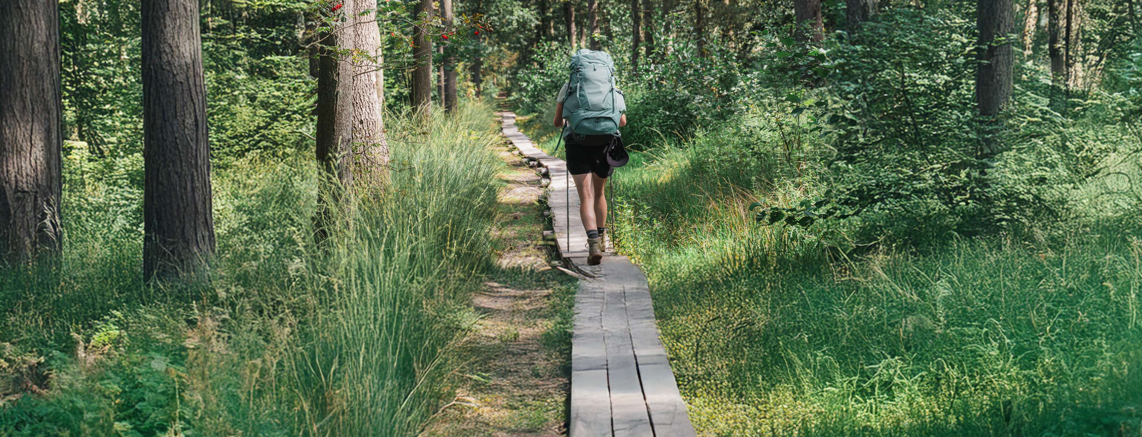 12x wandelen in Limburg: de mooiste routes