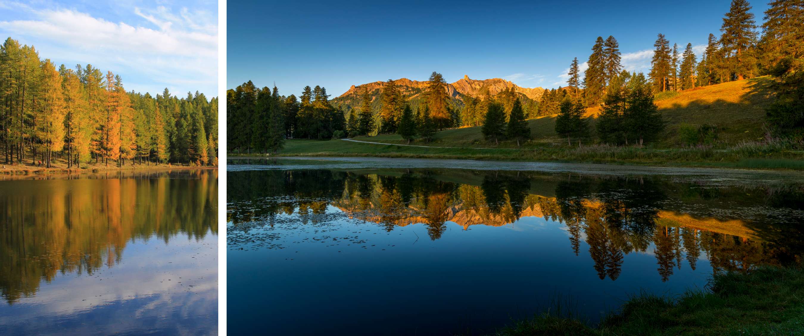 Un lac calme reflète une pente boisée et des sommets rocheux sous un ciel bleu.