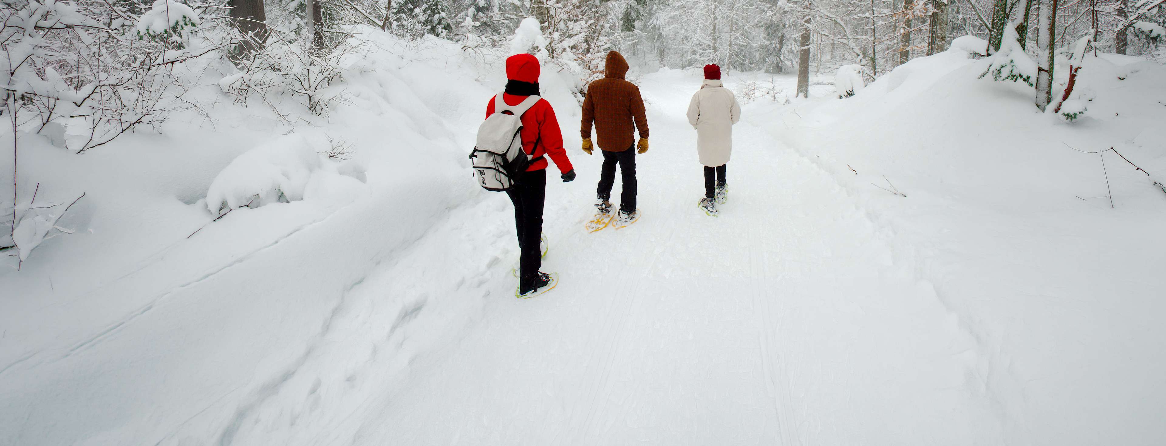 Les plus belles balades automnales et hivernales en France