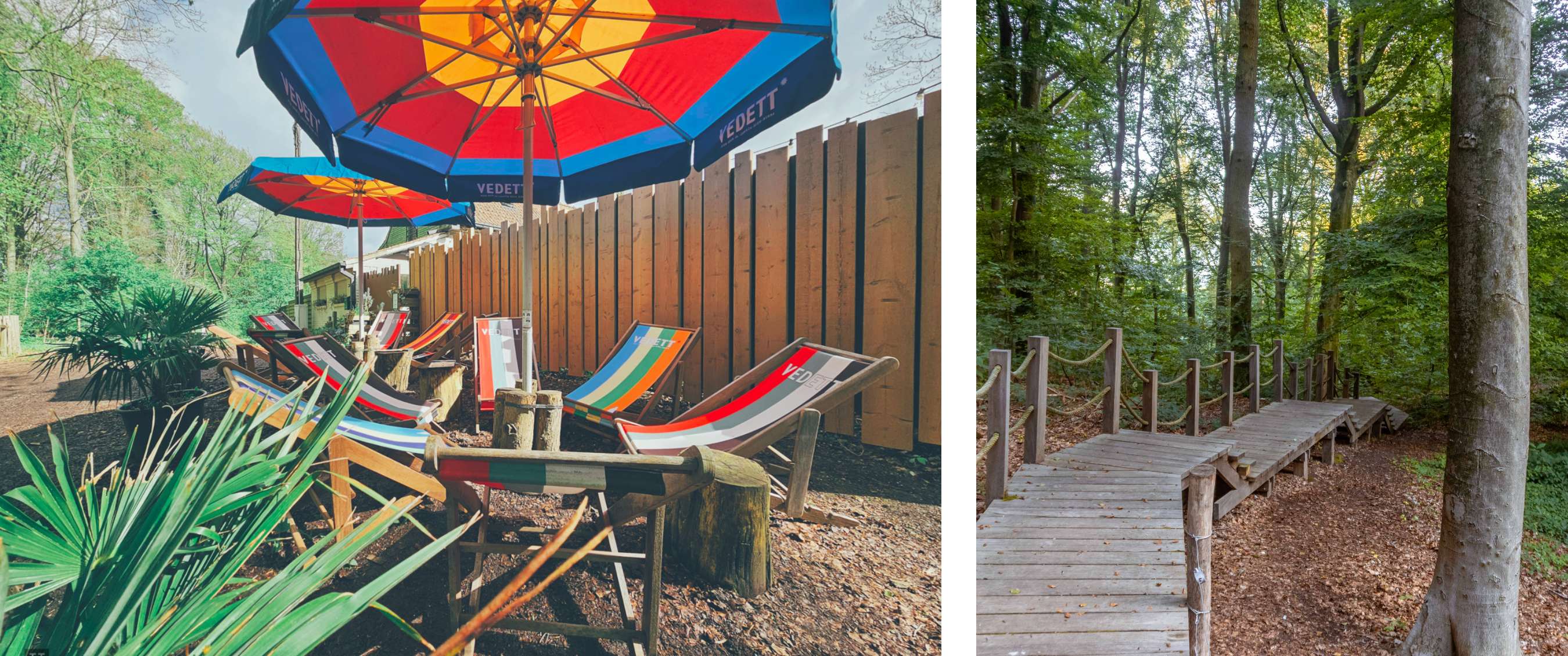 Twee beelden: ligstoelen onder kleurrijke parasols op een terras aan de bosrand; houten wandelpad met leuning in het bos