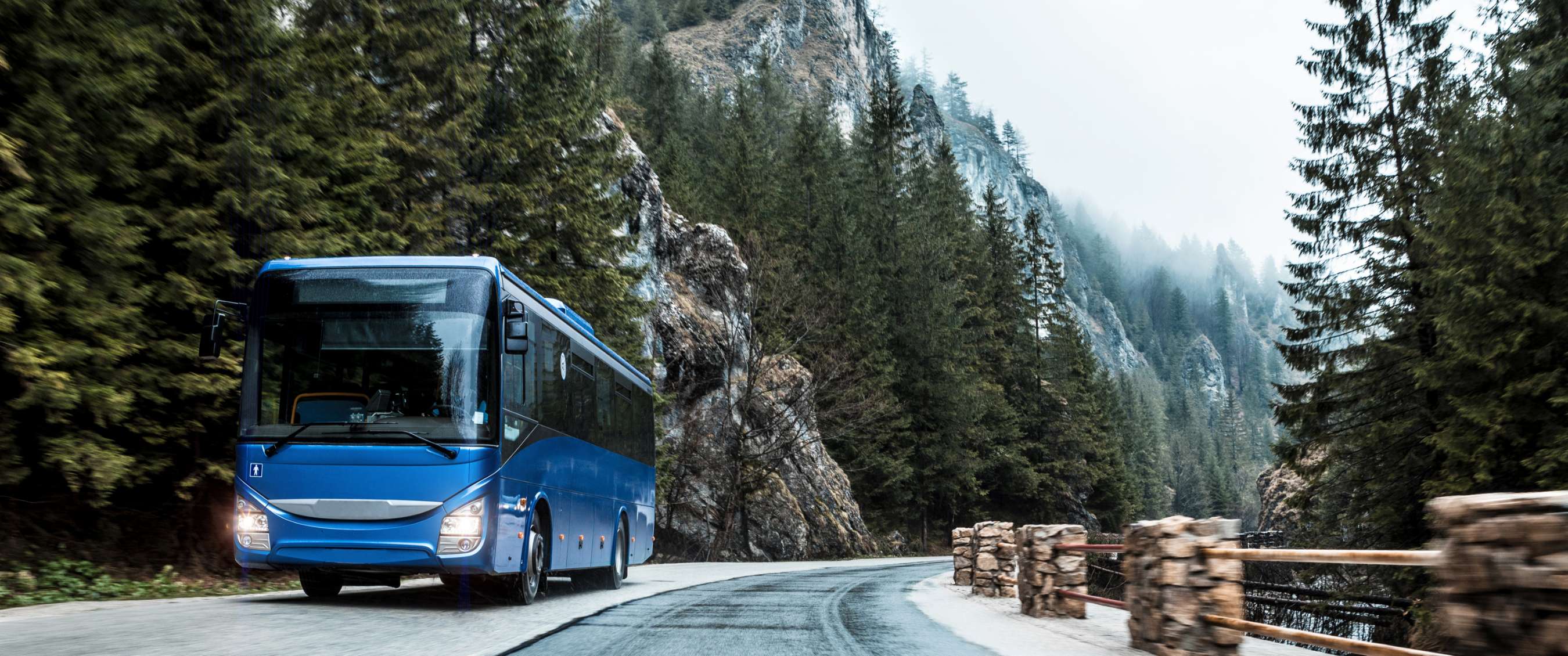 Bus bleue circulant sur une route de montagne sinueuse bordée de sapins.