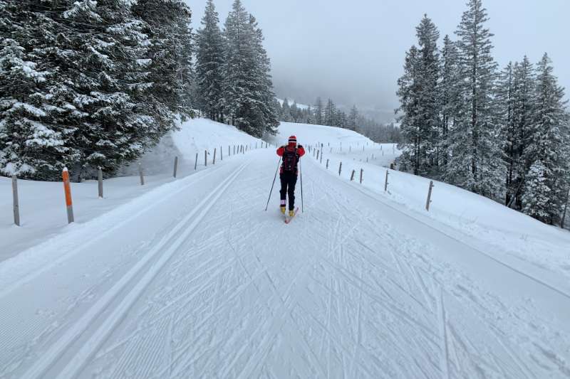 Les Jeux olympiques d’hiver pour tous : 5 sports à essayer