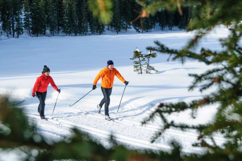 Waar kan je langlaufen? Ontdek de beste plekken in België en Europa
