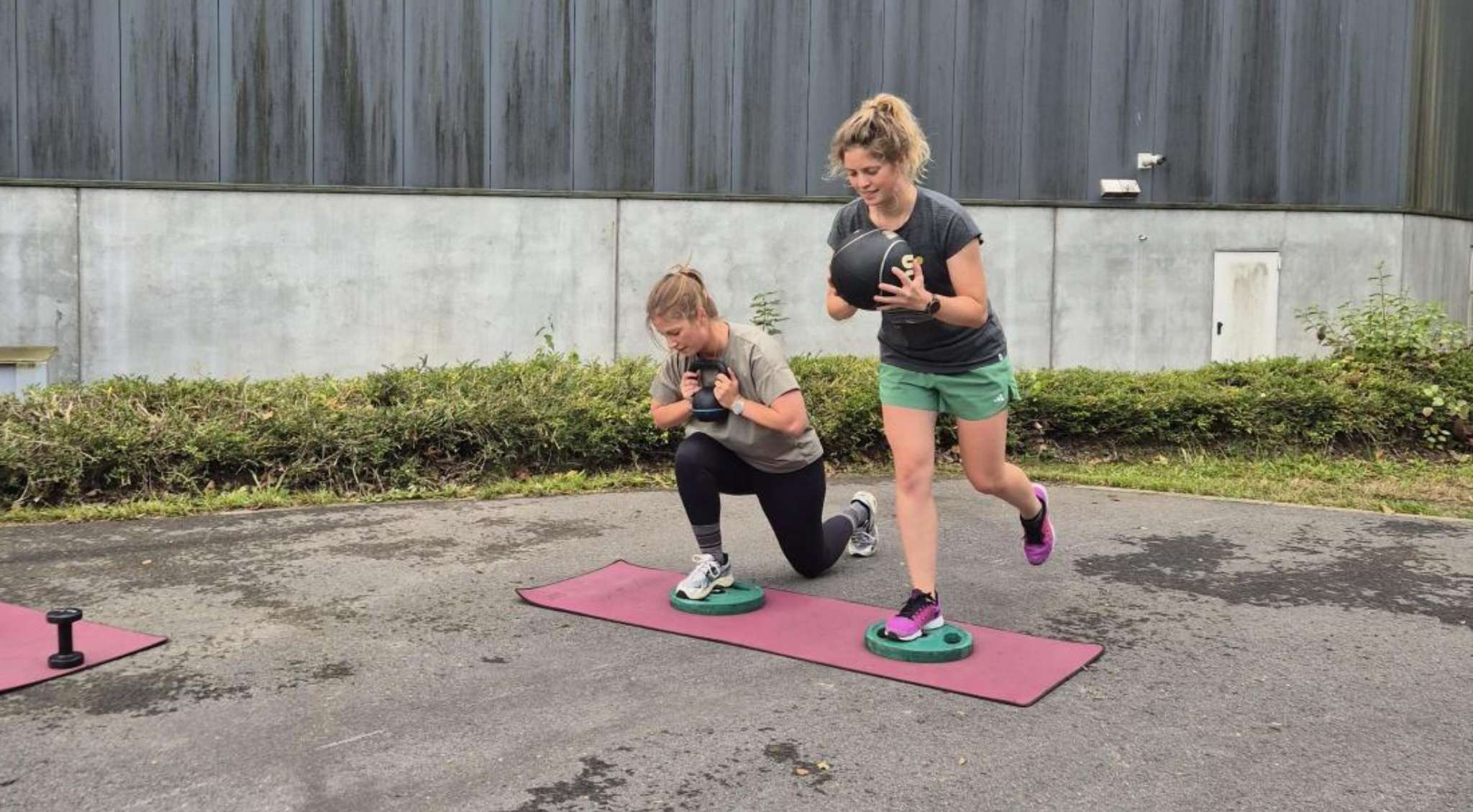 Twee beelden: mist trekt door een rotsachtig berglandschap; koe staat in een weide met bomen.