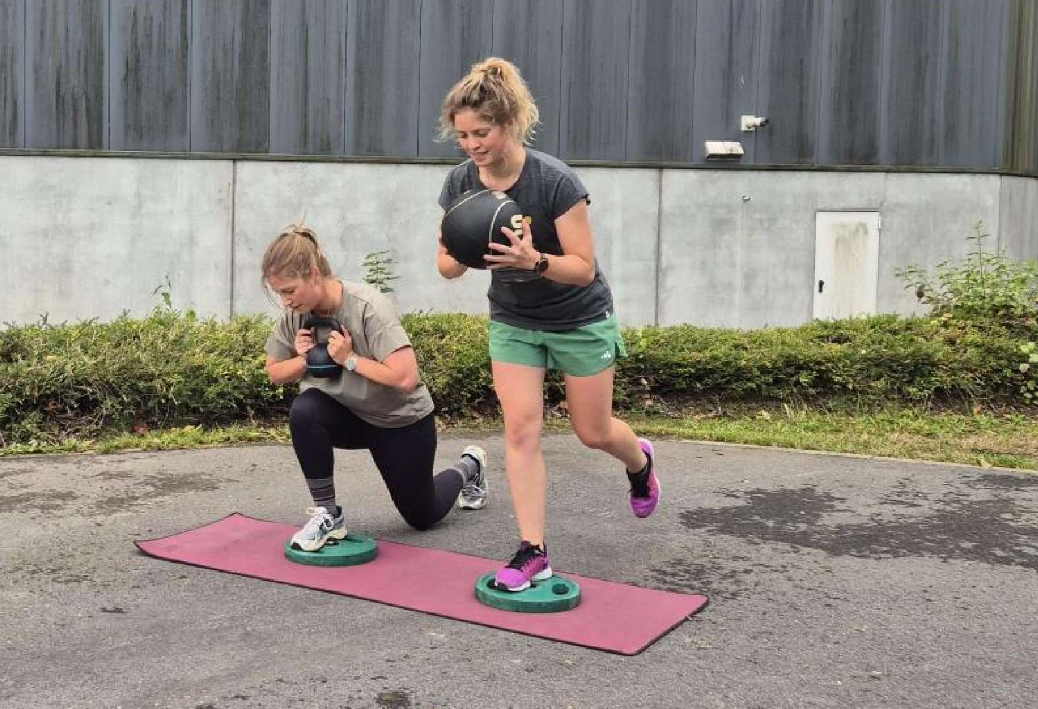 Twee beelden: mist trekt door een rotsachtig berglandschap; koe staat in een weide met bomen.