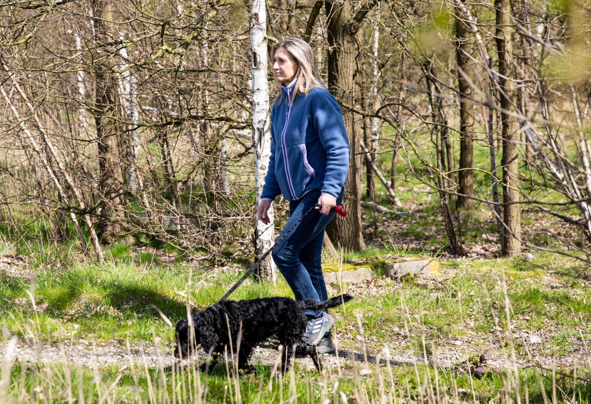 Twee beelden: mist trekt door een rotsachtig berglandschap; koe staat in een weide met bomen.