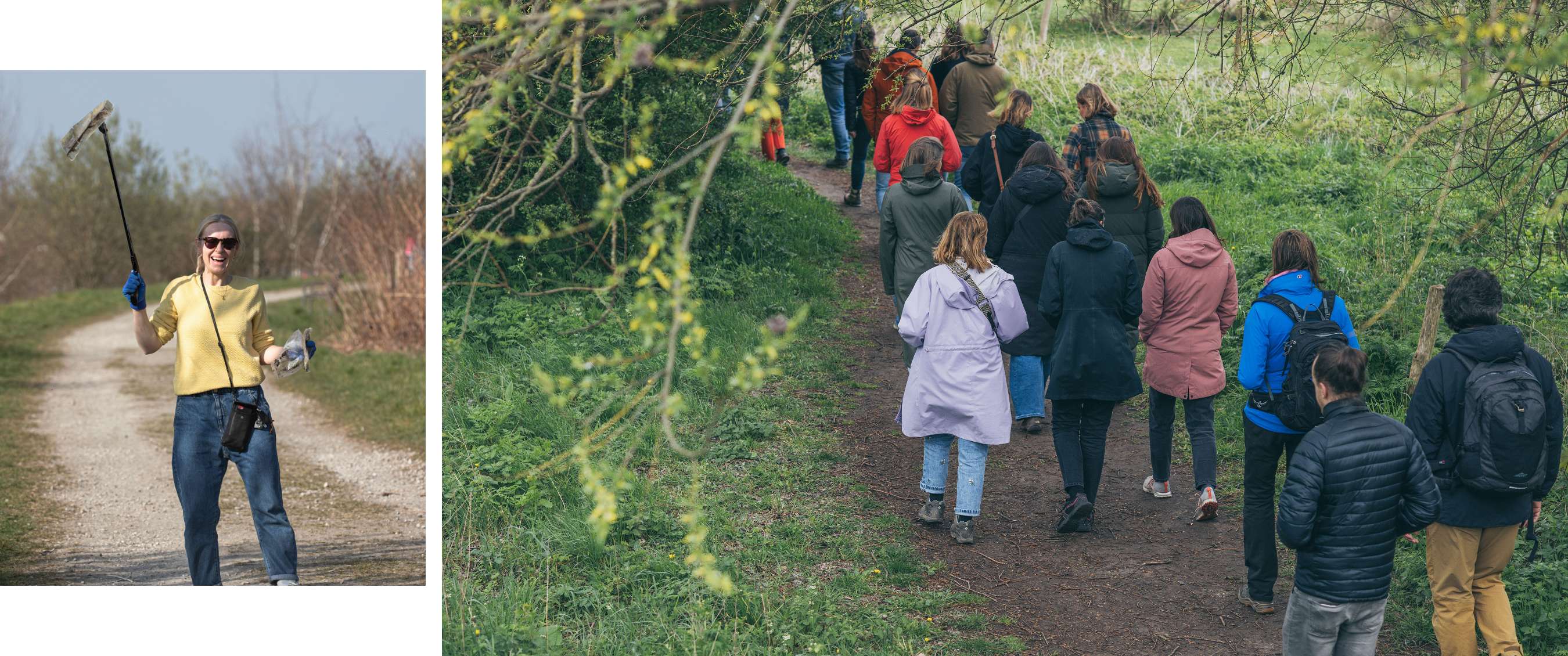 Twee beelden: mist trekt door een rotsachtig berglandschap; koe staat in een weide met bomen.